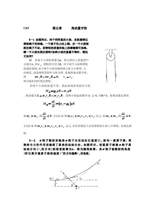 【非物理类力学习题】第五章角动量守恒