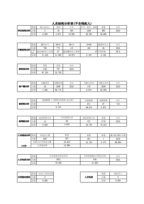 人员结构分析表1