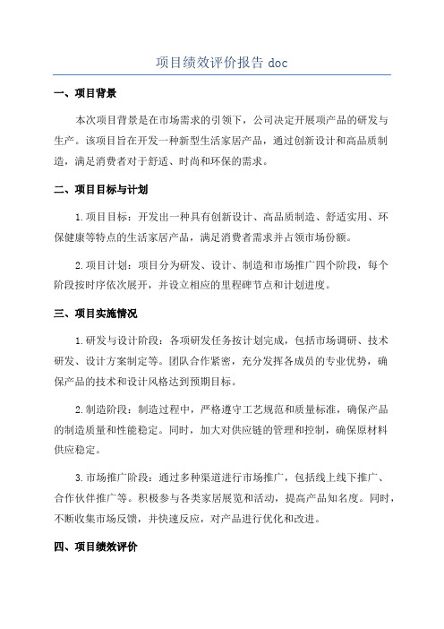 项目绩效评价报告doc