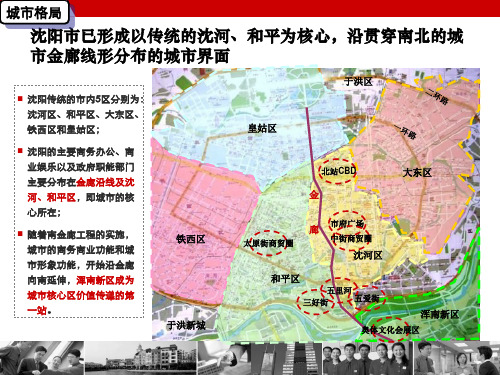 世联沈阳浑南新区项目前期策划PPT精品文档120页