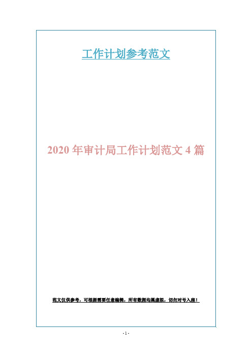 2020年审计局工作计划范文4篇