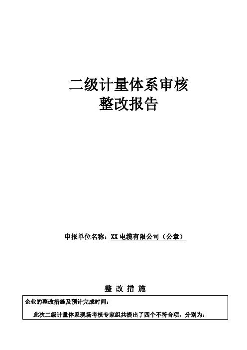 二级计量体系审核整改报告