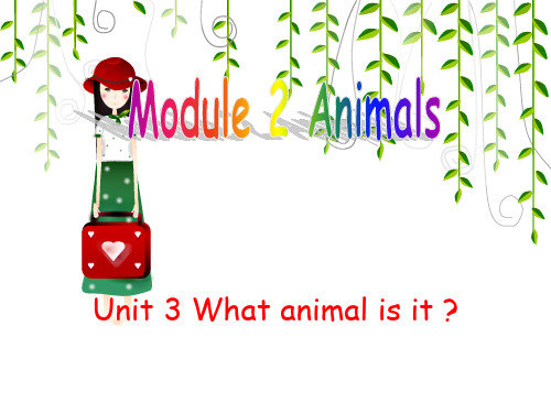 广州版六年级下册《Unit 3 What animal is it》PPT课件 (2)