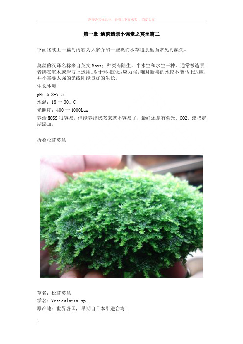 水草造景小课堂之常见的水草藻类(莫丝篇二)