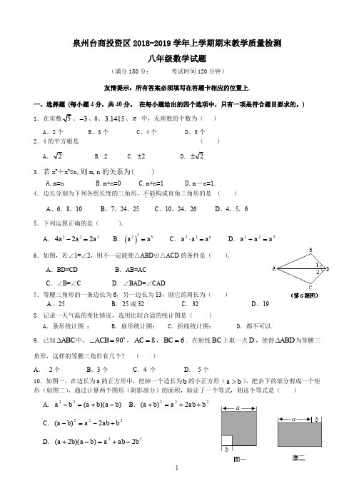 福建省泉州台商投资区2018-2019学年八年级上学期期末教学质量检测数学试题