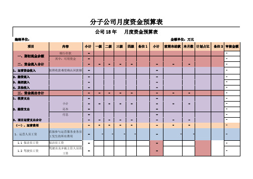 分子公司月度资金预算表