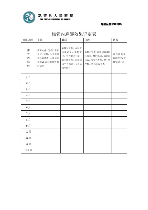 椎管内麻醉效果评定表