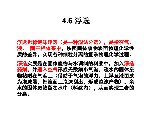 4.6 固体废弃物浮选