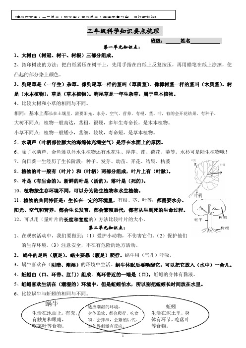 最新最全精心整理的三年级科学知识要点