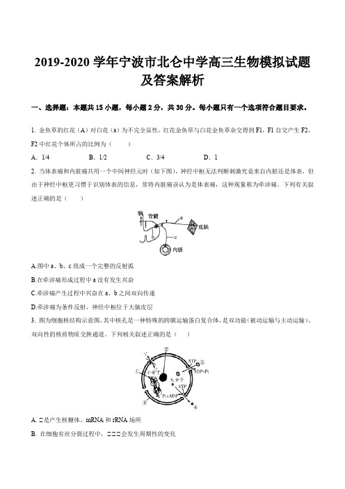 2019-2020学年宁波市北仑中学高三生物模拟试题及答案解析