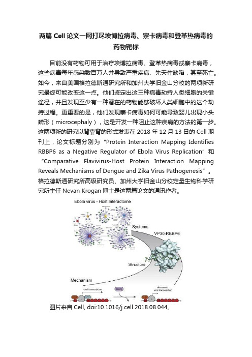 两篇Cell论文一网打尽埃博拉病毒、寨卡病毒和登革热病毒的药物靶标