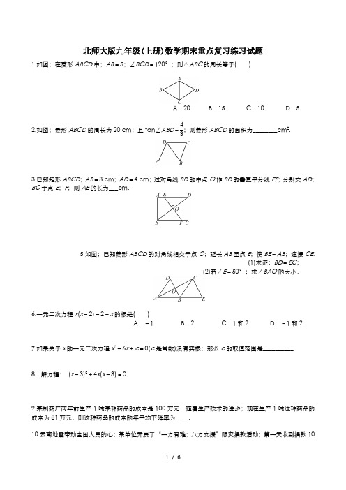 北师大版九年级(上册)数学期末重点复习练习试题