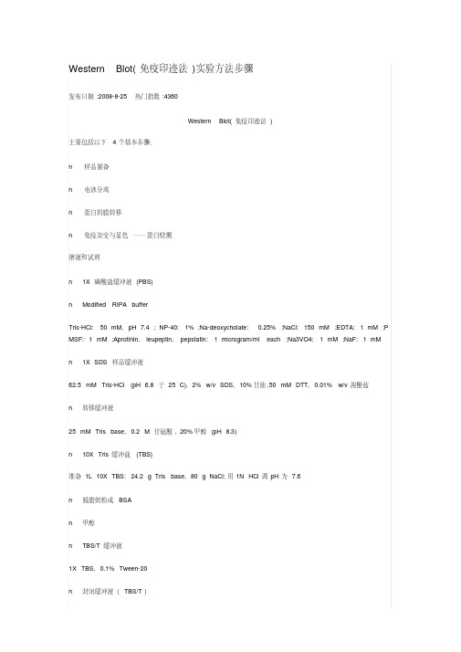 (完整版)WesternBlot(免疫印迹法)实验方法步骤