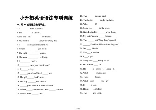 小升初英语语法专项训练