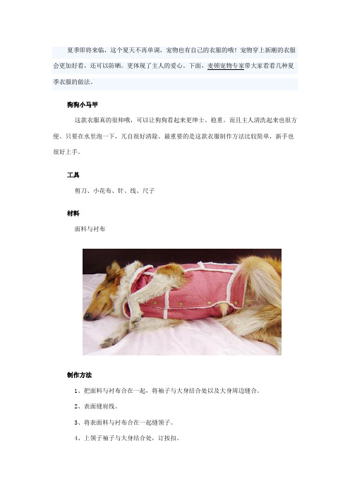 DIY狗狗的夏季装