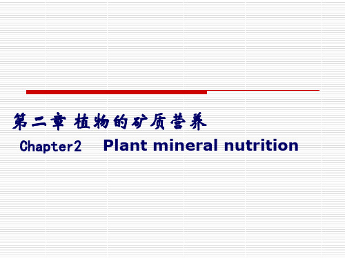 植物生理第二章植物的矿质营养资料文档