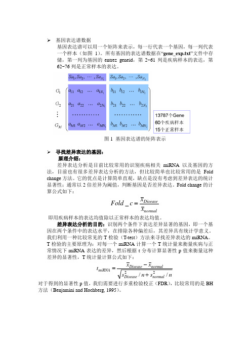 寻找差异表达的基因