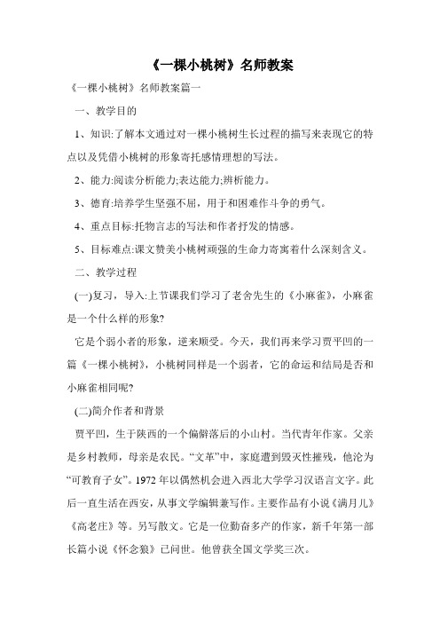 《一棵小桃树》名师教案.doc