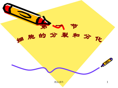 精选细胞的分裂和分化PPT.ppt