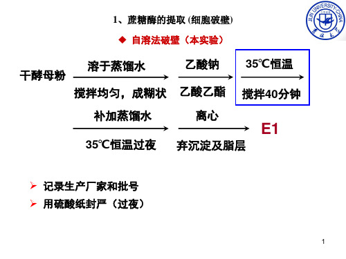 蔗糖酶理论讲授813共35页文档