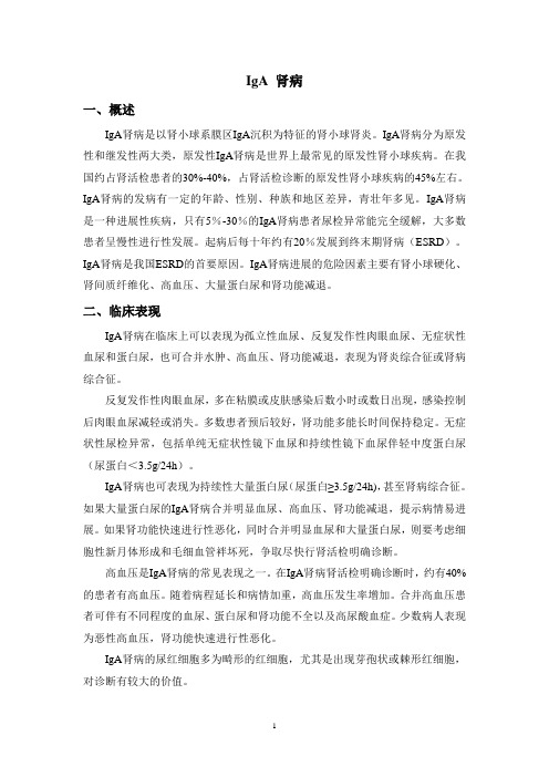 IgA肾病一、概述IgA肾病是以肾小球系膜区IgA沉积为特征的肾小球