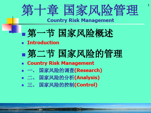 国际金融管理第十章 国家风险管理