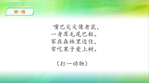 统编部编版小学语文五年级上册语文17松鼠