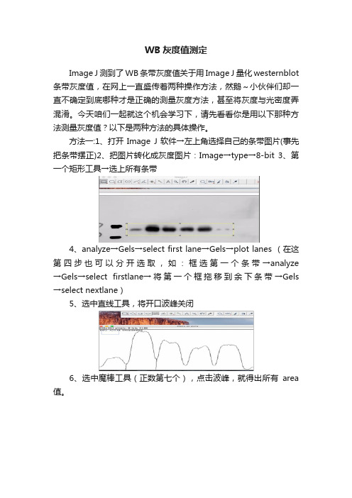 WB灰度值测定