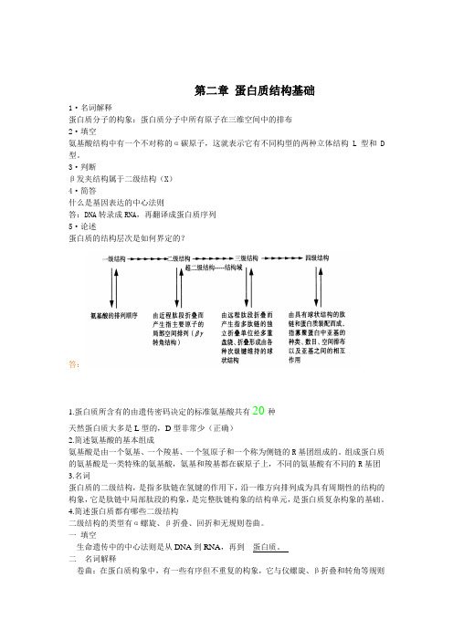 蛋白质工程复习题集(1)