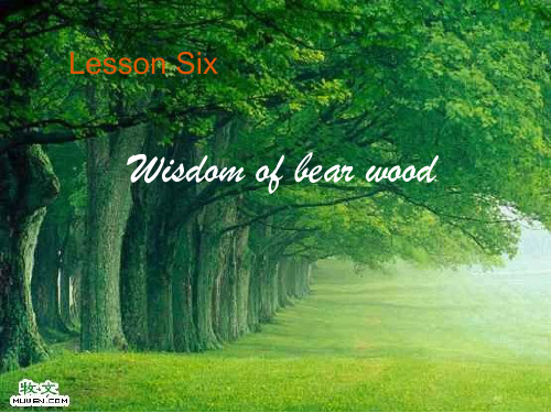 Unit 6 wisdom of bear wood 熊树林的智慧ppt课件