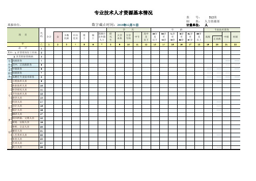 人才储备表