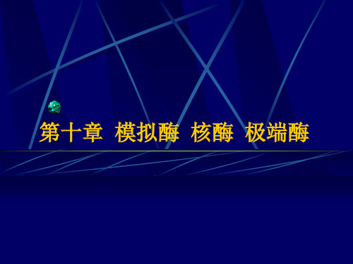 10抗体酶核酶极端-PPT资料75页