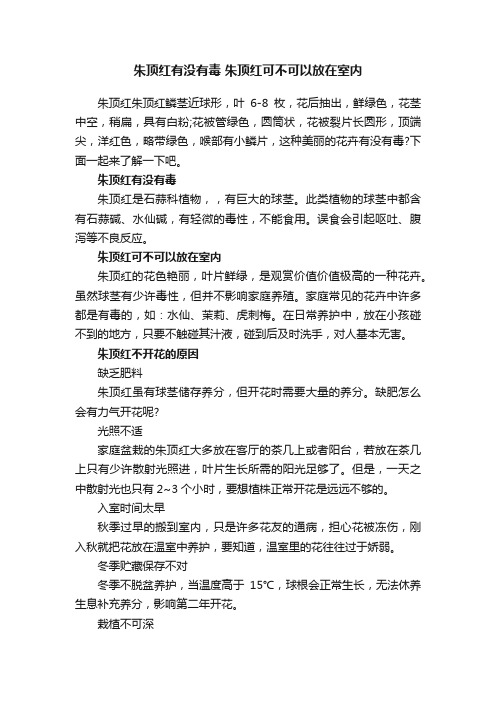 朱顶红有没有毒朱顶红可不可以放在室内