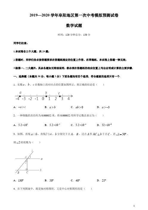 安徽省阜阳地区第一次中考模拟预测数学试卷