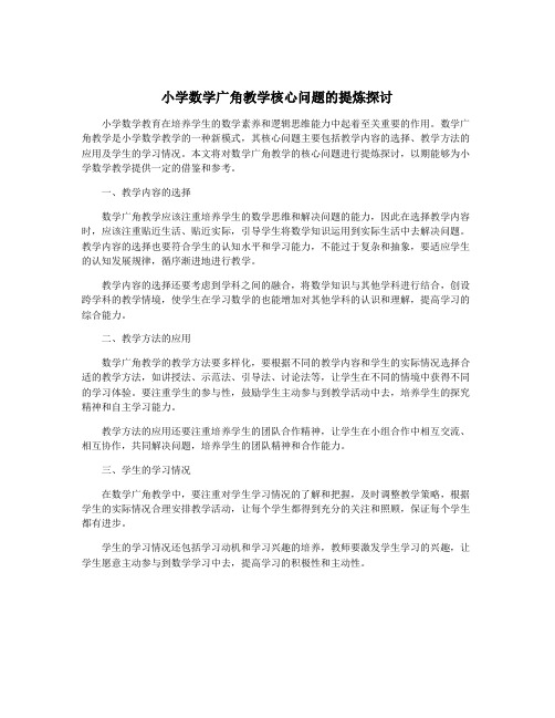 小学数学广角教学核心问题的提炼探讨