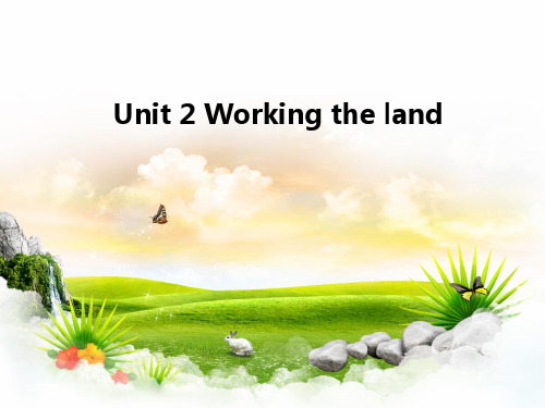 必修4Unit2 Working the land公开课优质课件