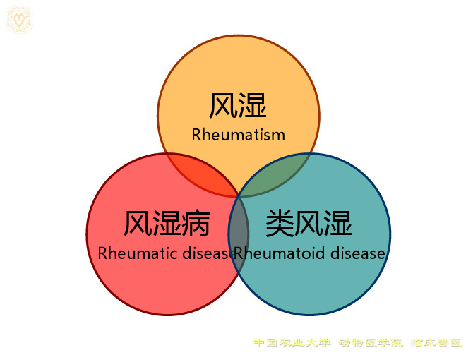 兽医学课件-风湿类风湿