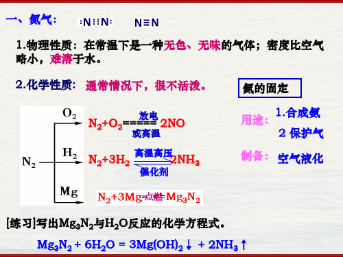 氨氮的氧化物硝酸PPT