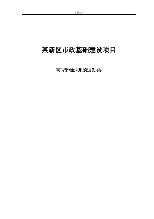 某新区市政基础建设项目可行性研究报告