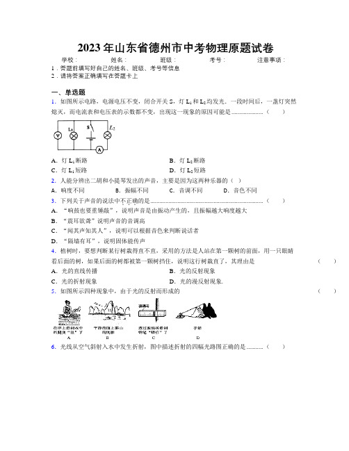 2023年山东省德州市中考物理原题试卷及解析