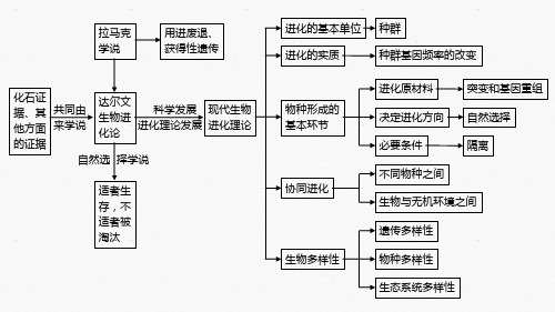 第6章生物的进化复习课件高一下学期生物人教版必修2