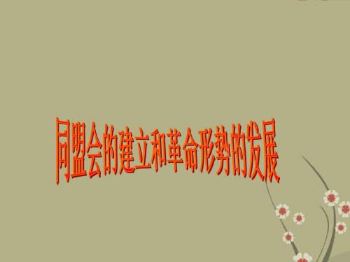 人教版高一历史上册同盟会的建立和革命形势的发展ppt0