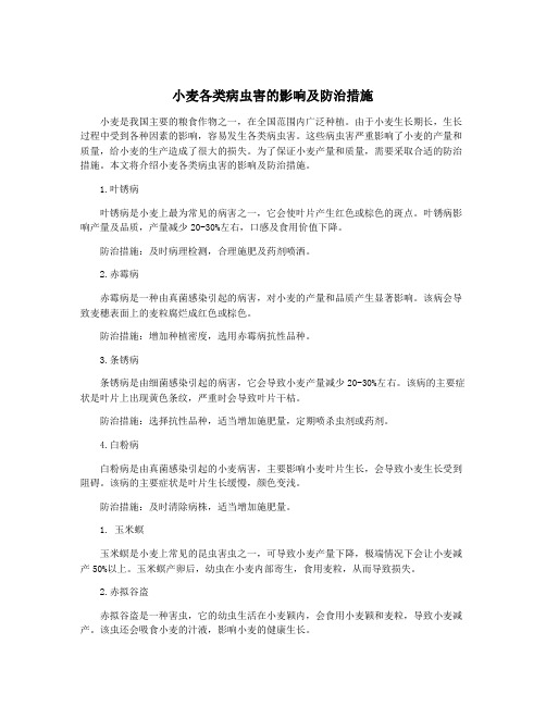 小麦各类病虫害的影响及防治措施