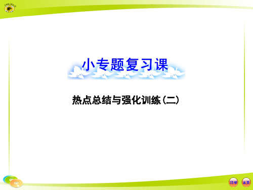 高中全程复习方略配套课件：小专题复习课  热点总结与强化训练(二24页