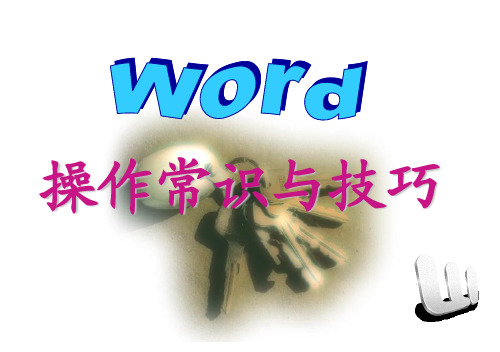 WORD操作常识与技巧(精心整理)★★