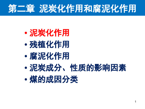 2泥炭化作用和腐泥化作用讲解