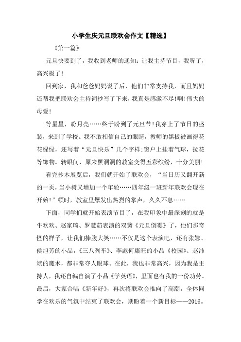 最新小学生庆元旦联欢会作文【精选】