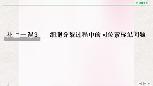 高中生物 补上一课3 细胞分裂过程中的同位素标记问题