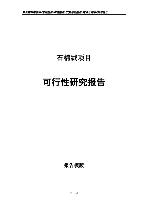 石棉绒项目可行性研究报告申请报告