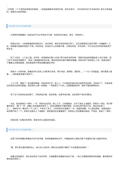 乐在其中初三作文800字